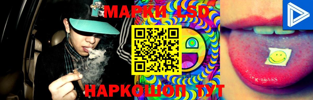 Борзя  Лсд 25 экстази кислота  Вход с VPN 
