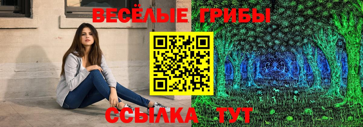 Борзя  Псилоцибиновые грибы прущие грибы  Вход с VPN 